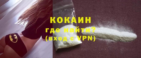 ПСИЛОЦИБИНОВЫЕ ГРИБЫ Богданович