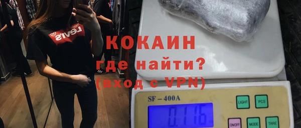 ПСИЛОЦИБИНОВЫЕ ГРИБЫ Богданович