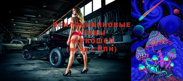 таблы Богородск