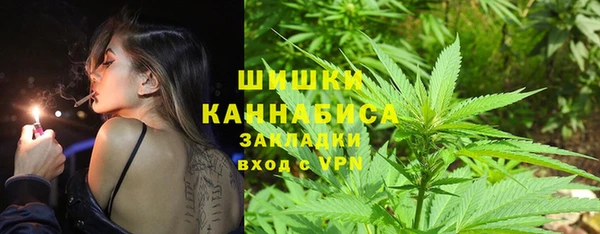 ПСИЛОЦИБИНОВЫЕ ГРИБЫ Богданович