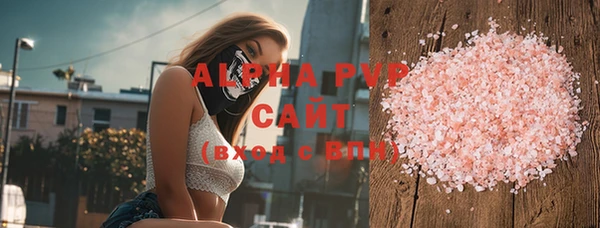 ПСИЛОЦИБИНОВЫЕ ГРИБЫ Богданович