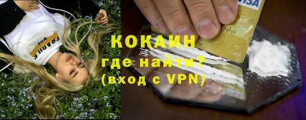 ПСИЛОЦИБИНОВЫЕ ГРИБЫ Богданович
