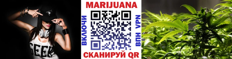 Каннабис сатива Коркино